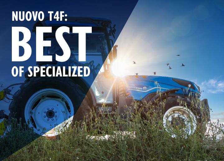 NUOVO T4F
