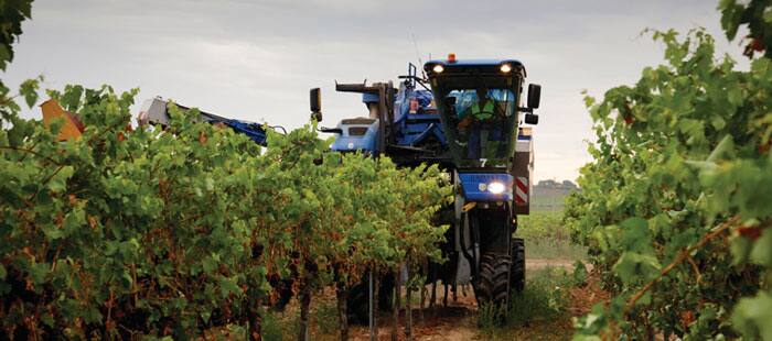 braud-9090x-vine-harvester-picking-head-01.jpg