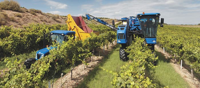 braud-grape-harvesters-braud-9090x-2-hopper-or-side-conveyor.jpg