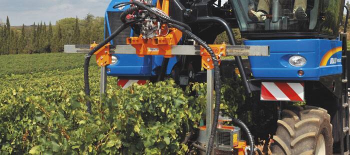 braud-grape-harvesters-versatility-06.jpg