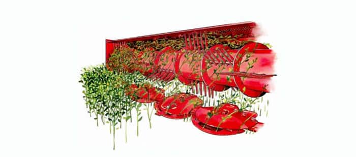 discbine-disc-mower-conditioner-conditioning-rolls-or-flails-04.jpg
