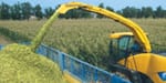 Forage Harvester Yield Mapping